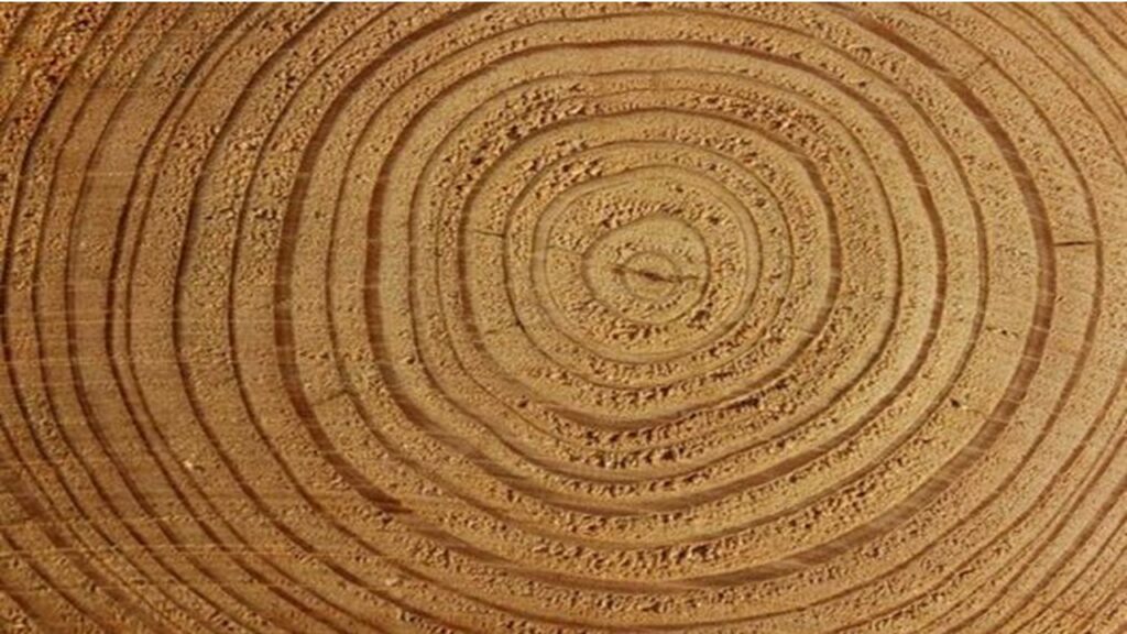 Nous entendons de plus en plus les termes ‘systémique’ ou ‘système’. Mais que veut-on réellement dire par systémique, qu’est-ce qu’un système, pourquoi en parler et surtout comment appréhender et utiliser ces notions ?